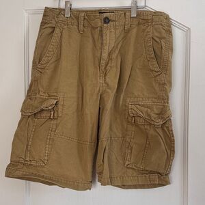 American Eagle Outfitters Mens Brown Cargo Shorts